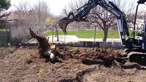 felling a trees with mini excavator|mini tree removal.